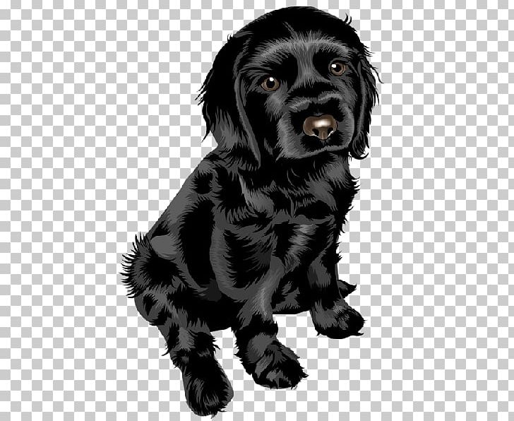 Puppy Yorkshire Terrier Bulldog Miniature Schnauzer Pug PNG, Clipart, Animal, Animals, Boykin Spaniel, Carnivoran, Cats Dogs Free PNG Download