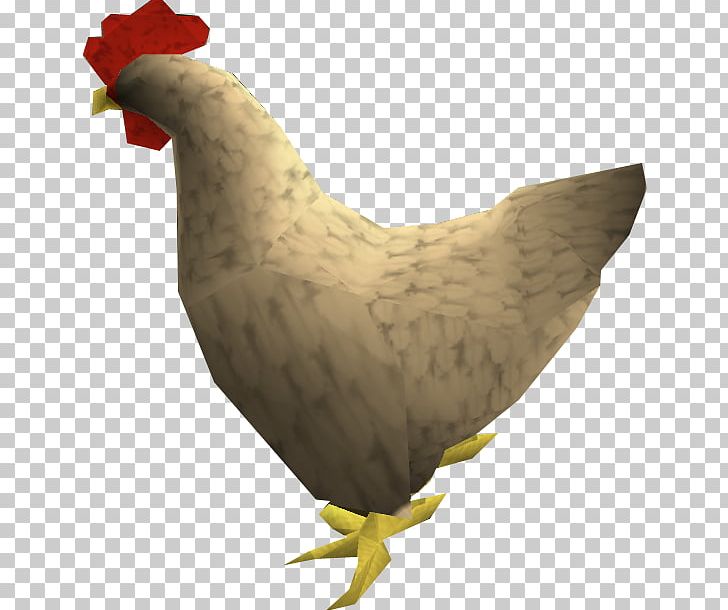 RuneScape Chicken Phasianidae Rooster Poultry PNG, Clipart, Animal, Animals, Beak, Bird, Chicken Free PNG Download