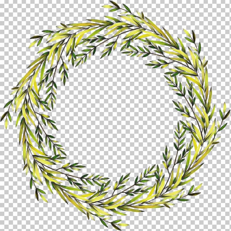 Christmas Decoration PNG, Clipart, American Larch, Branch, Christmas Decoration, Colorado Spruce, Conifer Free PNG Download