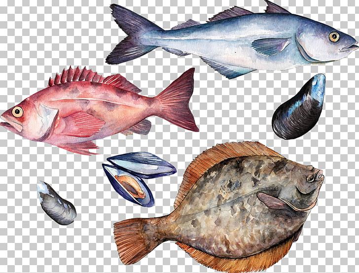Fish School Seafood Education PNG, Clipart, Animal Source Foods, Cafeteria, Culinary Arts, Education, Farm Free PNG Download