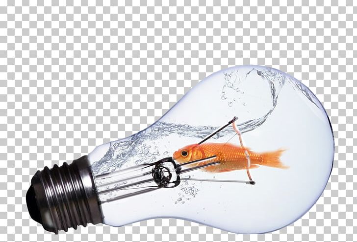 Incandescent Light Bulb Lamp PNG, Clipart, Aquarium Fish, Bulb, Bulbs, Electricity, Energy Free PNG Download