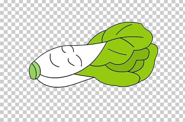 Napa Cabbage Cartoon Chinese Cabbage PNG, Clipart, Area, Avatar, Background Green, Balloon Cartoon, Boy Cartoon Free PNG Download