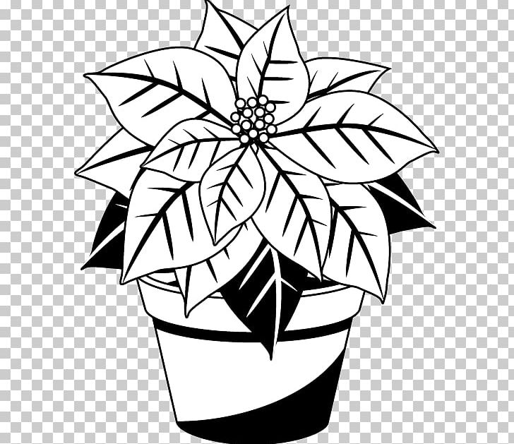 Poinsettia Christmas Black And White Red PNG, Clipart, Artwork, Black, Black And White, Christmas, Christmas Tree Free PNG Download