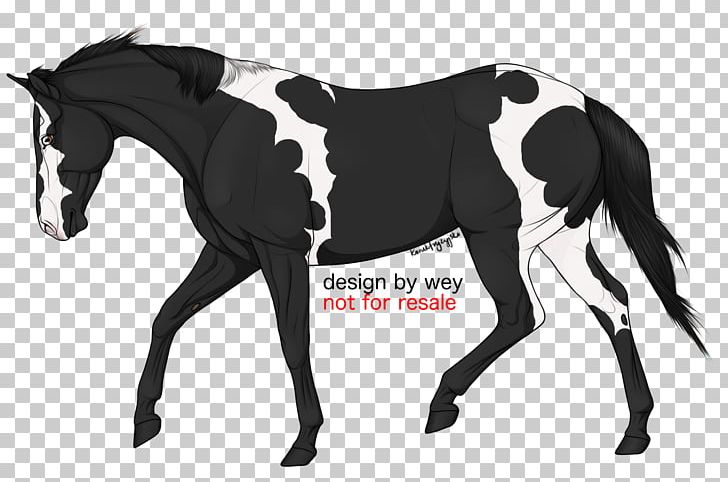 Stallion Mare Foal Mustang Halter PNG, Clipart,  Free PNG Download