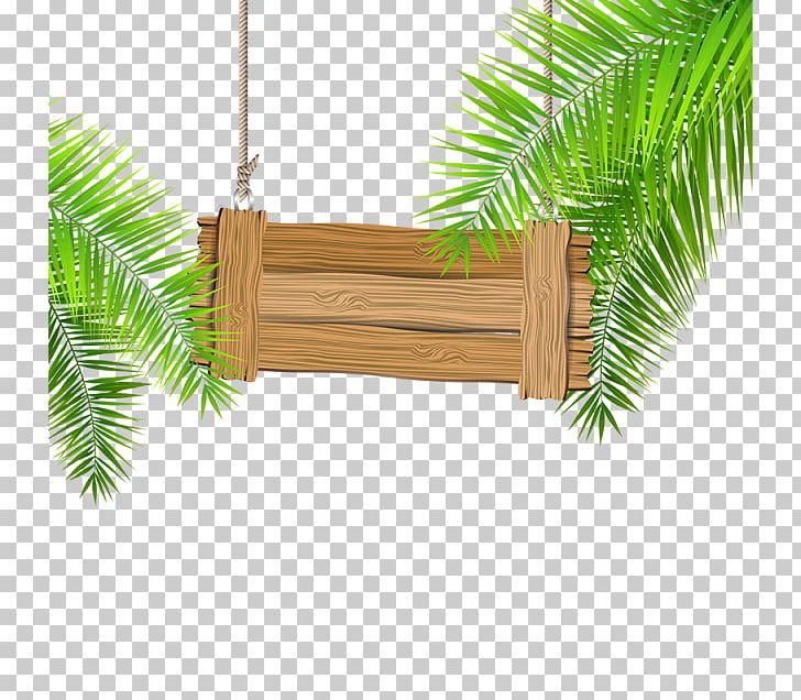 Wood Encapsulated PostScript PNG, Clipart, Arecales, Branch, Christmas Ornament, Download, Encapsulated Postscript Free PNG Download