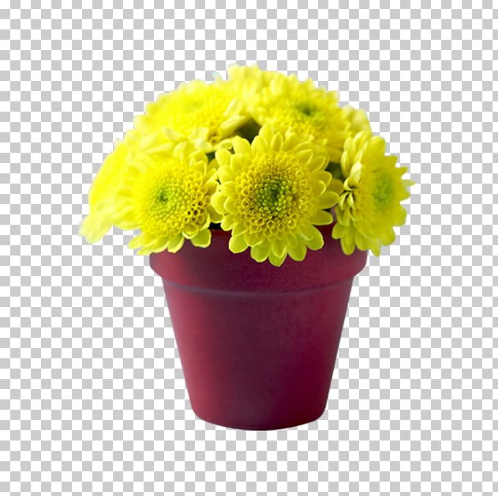Chrysanthemum Flowerpot Transvaal Daisy Bonsai PNG, Clipart, Bottom, Chrysanths, Cut Flowers, Daisy Family, Download Free PNG Download
