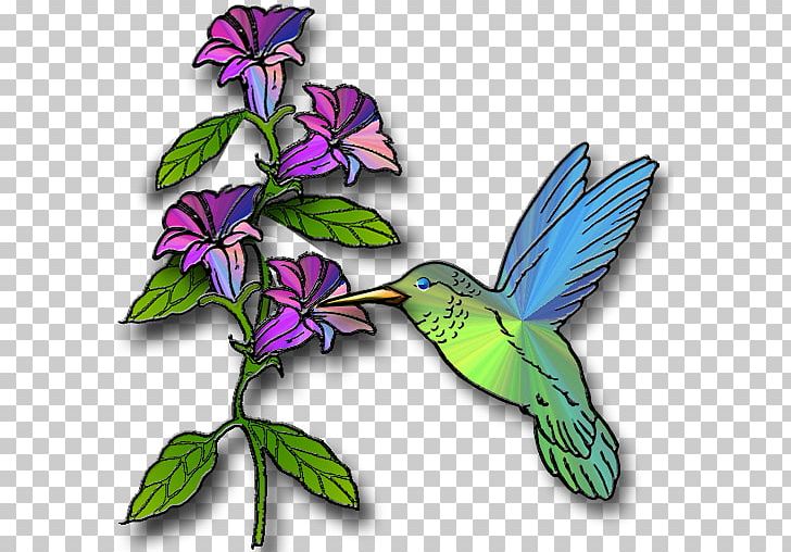 Hummingbird Free Content PNG, Clipart, Beak, Bird, Blog, Branch, Clip Art Free PNG Download