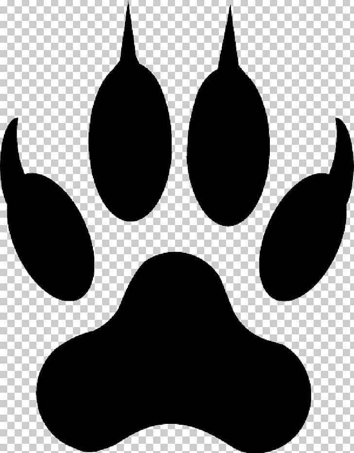 Lion Tiger Polydactyl Cat Liger PNG, Clipart, Animals, Black, Black And White, Cat, Clip Art Free PNG Download