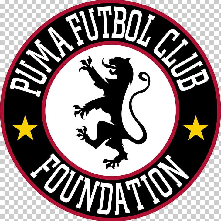 Southampton Pro Academy Web Browser Safari Google Chrome Computer Program PNG, Clipart, Area, Artwork, Brand, Carnivoran, Circle Free PNG Download