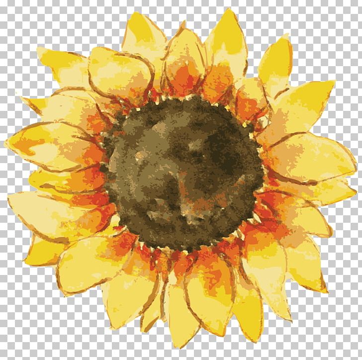 IPhone 7 Plus Common Sunflower IPhone 6 Plus Amazon.com PNG, Clipart, Amazoncom, Common Sunflower, Creativity, Daisy Family, Etsy Free PNG Download