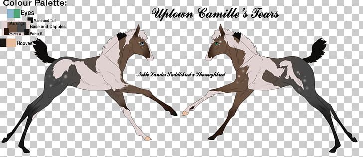 Mustang Foal Stallion Mare Colt PNG, Clipart, Animal Figure, Bridle, Colt, English Riding, Equestrian Free PNG Download