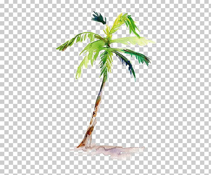 Watercolor Painting Arecaceae Drawing PNG, Clipart, Arecales, Art, Art Museum, Beach, Branch Free PNG Download