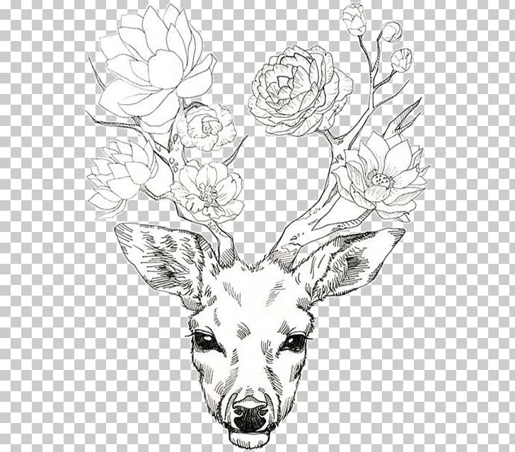 Deer Antler Drawing Flower Elk PNG, Clipart, Animals, Antler, Art, Black And White, Deer Free PNG Download