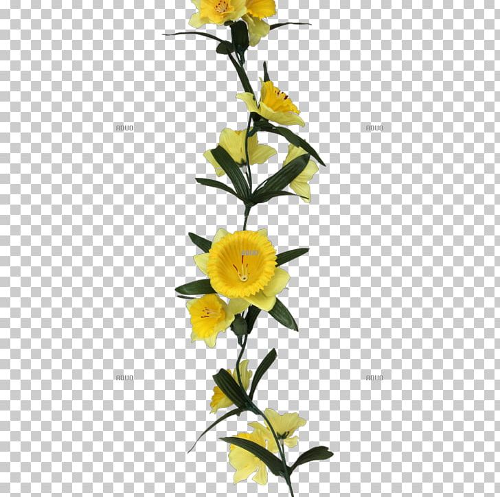 Floral Design Cut Flowers Rose Family Plant Stem PNG, Clipart, Cut Flowers, Family, Flora, Floral Design, Floristry Free PNG Download