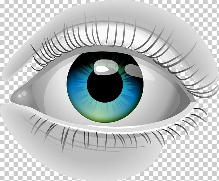 Human Eye Pupil Euclidean PNG, Clipart, Anime Eyes, Big Eyes, Blue Eyes, Cartoon Eyes, Child Eyes Free PNG Download