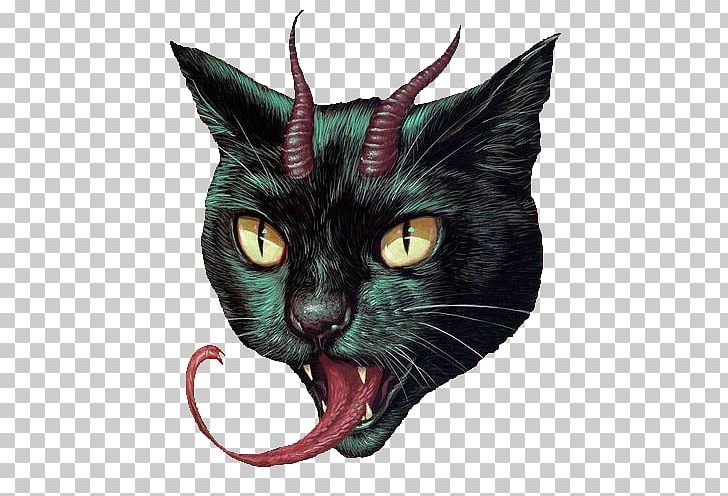 Sphynx Cat Devon Rex Black Cat Kitten Whiskers PNG, Clipart, Animal, Animals, Art, Black Cat, Carnivoran Free PNG Download