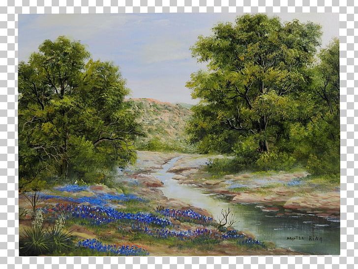 Texas Bluebonnet Landscape Painting Texas Bluebonnet PNG, Clipart, Bank, Canvas, Creek, Forest, Landscape Free PNG Download