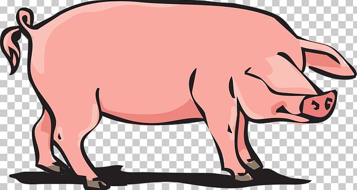 Domestic Pig PNG, Clipart, Animal, Animal Farm, Animal Figure, Domestic Pig, Download Free PNG Download