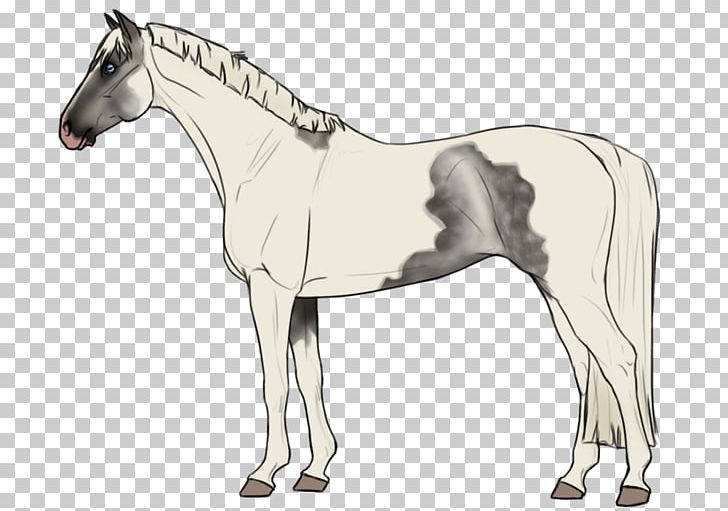 Mane Foal Horse Pony Stallion PNG, Clipart, Animal, Animals, Bit, Bridle, Colt Free PNG Download