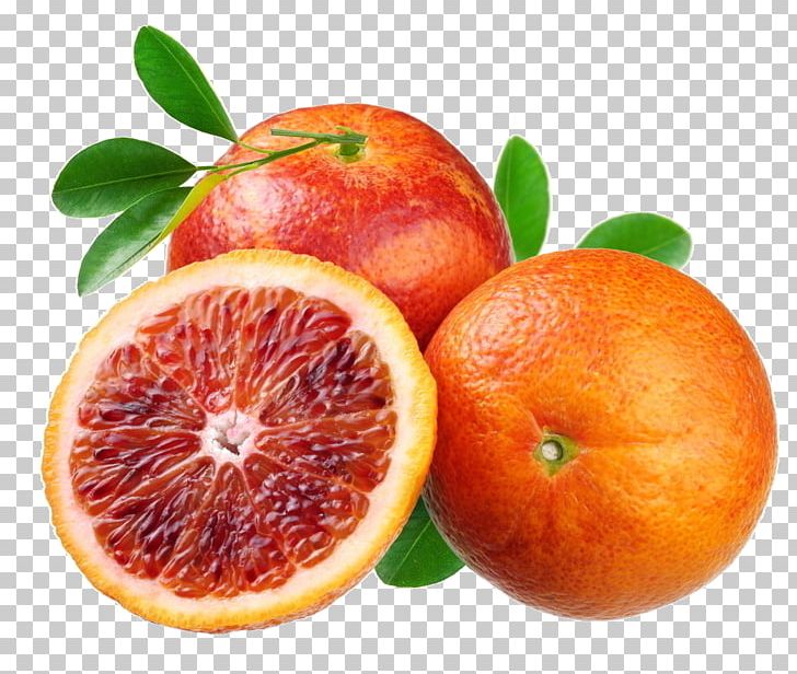 Citrus Fruit Soda Syphon Lemon Navel Orange Grapefruit Juice PNG, Clipart, Apple, Bitter, Citrus, Food, Fruit Free PNG Download