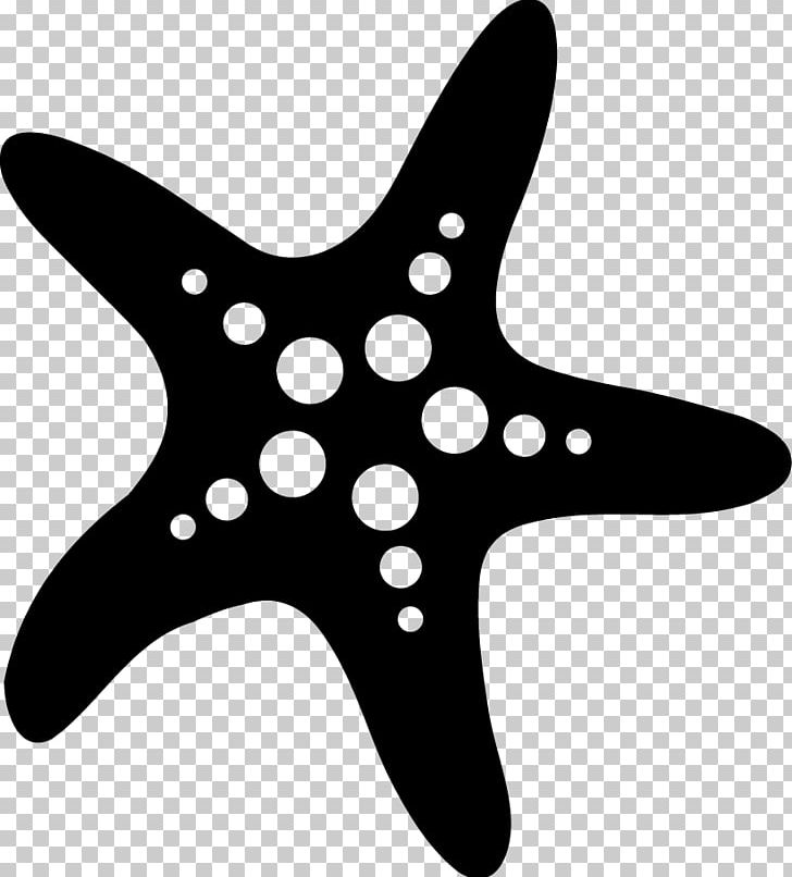 Starfish Health PNG, Clipart, Bikini, Black And White, Competition, Eating, Echinoderm Free PNG Download