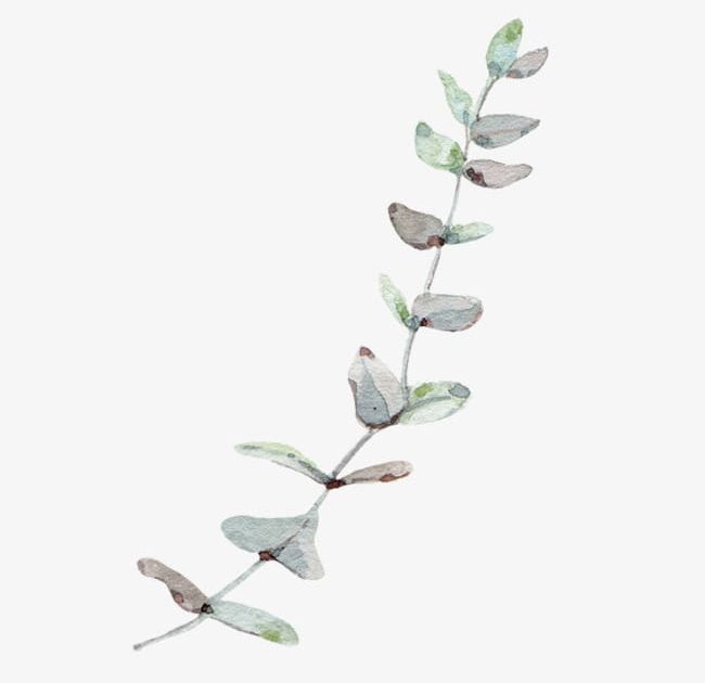 Nordic Wind Eucalyptus Leaves PNG, Clipart, Branches, Branches And Leaves, Eucalyptus Clipart, Gradient, Green Free PNG Download
