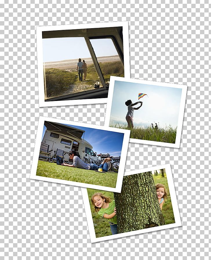 Total Loss Frames Photographic Paper Insurance PNG, Clipart, Artikel, Campervans, Collage, Depreciation, Grass Free PNG Download