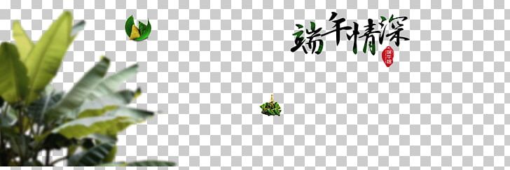 Dragon Boat Festival PNG, Clipart, Computer Wallpaper, Dragon, Dragon Boat, Flower, Grass Free PNG Download