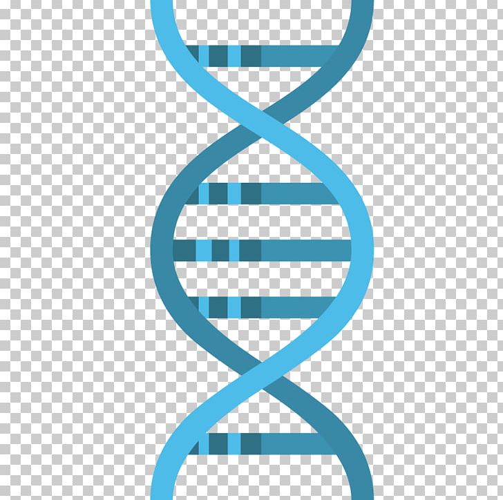 Graphics DNA Illustration Computer Icons PNG, Clipart, Circle, Computer Icons, Desktop Wallpaper, Dna, Illumina Dye Sequencing Free PNG Download