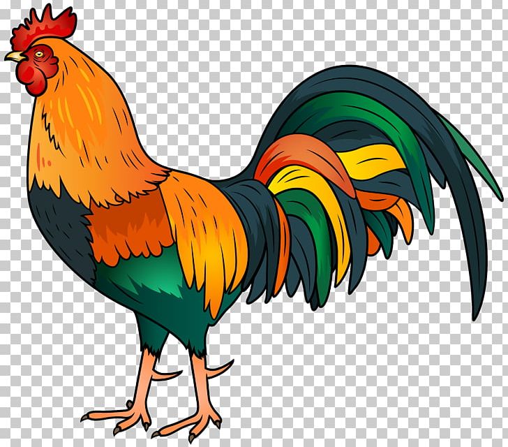 Rooster Chicken PNG, Clipart, Animals, Beak, Bird, Cartoon, Chicken Free PNG Download
