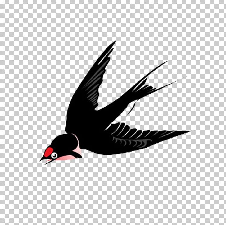 Swallow Bird Photography Illustration PNG, Clipart, Background Black, Bird, Black, Black Hair, Black White Free PNG Download