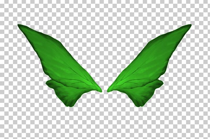 Elements PNG, Clipart, Angels Wings, Angel Wing, Angel Wings, Butterfly, Butterfly Wings Free PNG Download