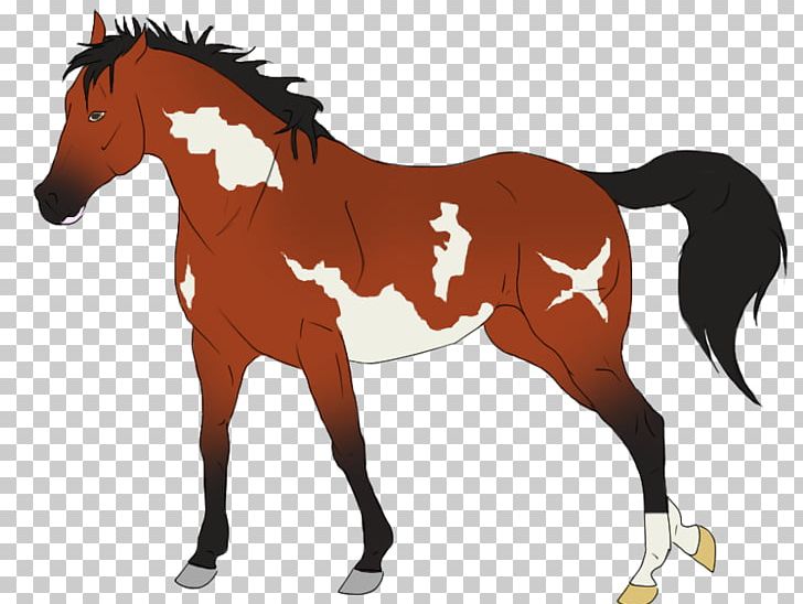 Foal Mane Stallion Mustang Colt PNG, Clipart, Animal Figure, Bridle, Colt, English Riding, Equestrian Free PNG Download