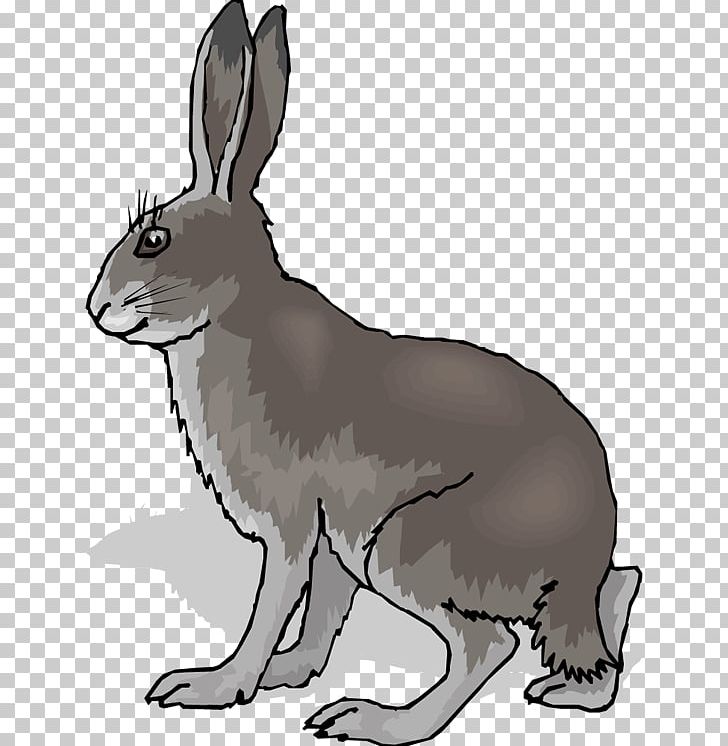 Hare Rabbit PNG, Clipart, Animal, Animals, Black And White, Cartoon, Chinese Zodiac Free PNG Download