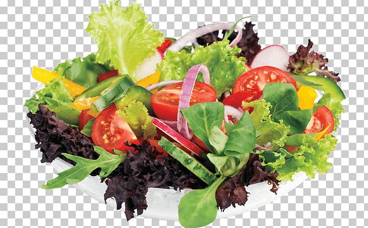 Lettuce Raita Salad Tikka Restaurant PNG, Clipart, Cuisine, Diet Food, Dish, Food, Fresh Free PNG Download