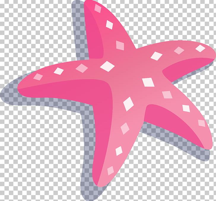 Portable Network Graphics Drawing Starfish PNG, Clipart, Beach, Birthday, Cartoon, Desktop Wallpaper, Download Free PNG Download
