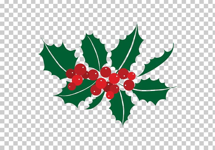 Holly Computer Icons Mistletoe PNG, Clipart, Aquifoliaceae, Aquifoliales, Branch, Christmas, Computer Icons Free PNG Download