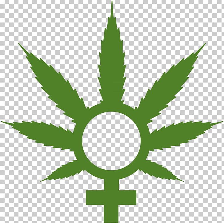 Medical Cannabis Cannabis Cultivation Cannabis Sativa PNG, Clipart, 420 Day, Bong, Cannabis, Cannabis Cultivation, Cannabis Sativa Free PNG Download