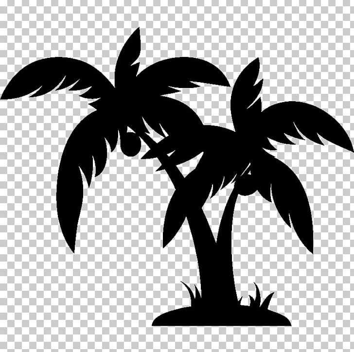 Arecaceae PNG, Clipart, Arecaceae, Bird, Black And White, Branch, Coconut Free PNG Download