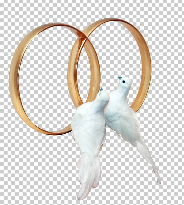 Two Doves Flying With Wedding Rings Vector Illustration Stock Illustration  - Download Image Now - iStock