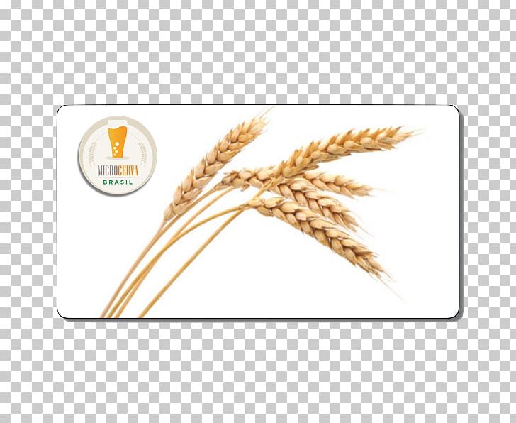 Wheat Beer Common Wheat Grodziskie Cereal PNG, Clipart, Beer, Cereal, Cereal Germ, Commodity, Common Wheat Free PNG Download