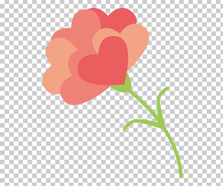Carnation Petal Flower Gift PNG, Clipart,  Free PNG Download