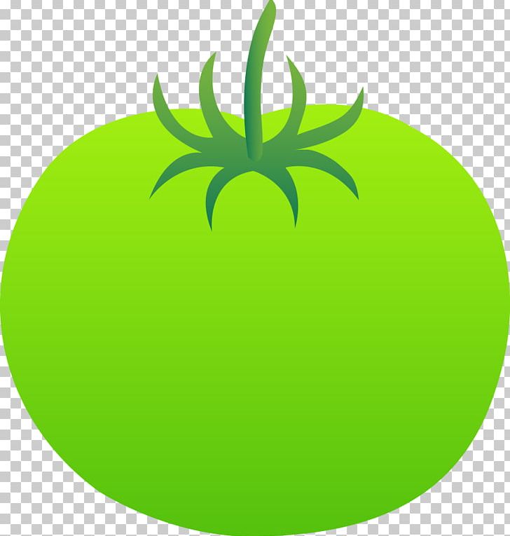 Fried Green Tomatoes Vegetable Fruit PNG, Clipart, Cartoon Tomato, Cherry Tomato, Computer Icons, Food, Food Drinks Free PNG Download