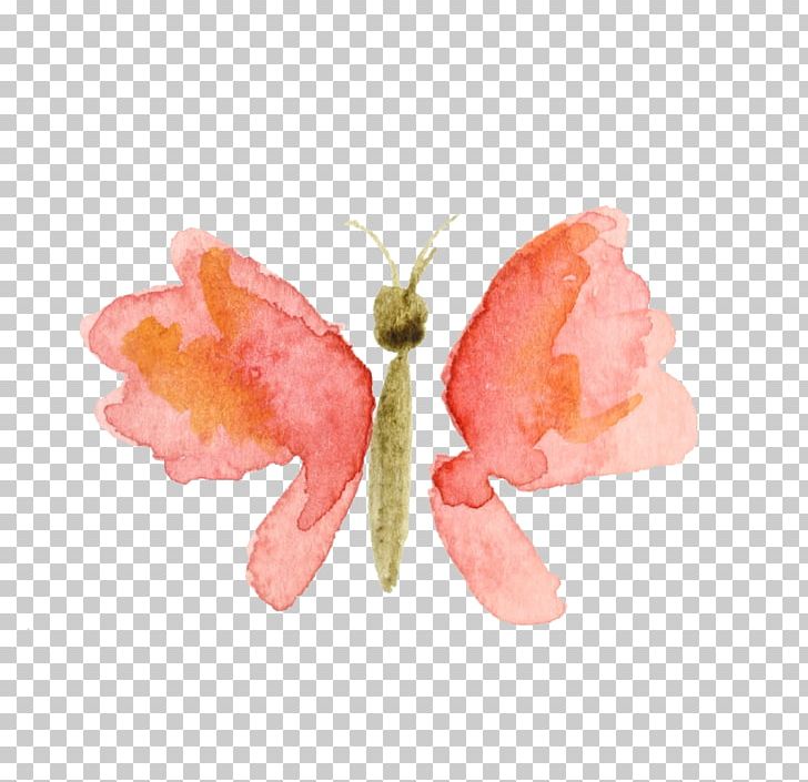 Watercolor Painting Free Content PNG, Clipart, Arthropod, Butterfly, Drawing, Free Content, Graphic Design Free PNG Download