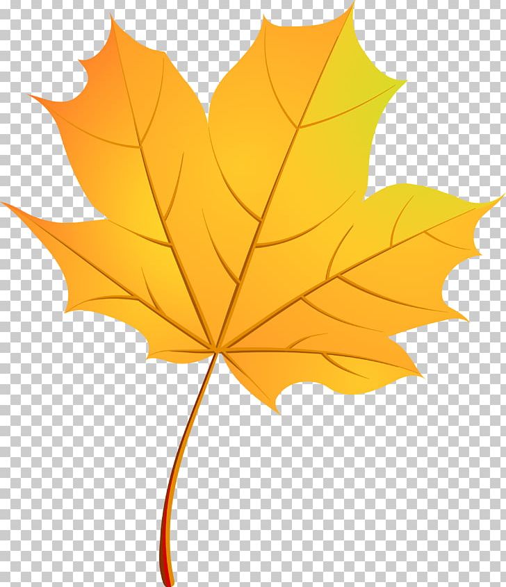 Autumn Leaves Maple Leaf PNG, Clipart, Autumn Defoliation, Botany, Computer Icons, Decorate, Decorative Patterns Free PNG Download