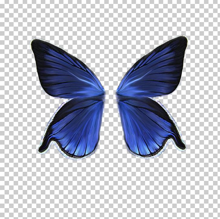Drawing PNG, Clipart, Au File Format, Blog, Blue, Butterfly, Cobalt Blue Free PNG Download