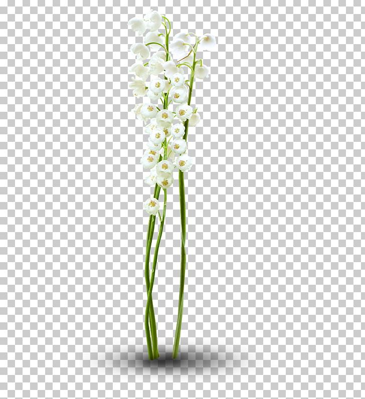 Floral Design Cut Flowers Moth Orchids Flowerpot Plant Stem PNG, Clipart, Art, Cari, Cut Flowers, Deco, Fleur Free PNG Download