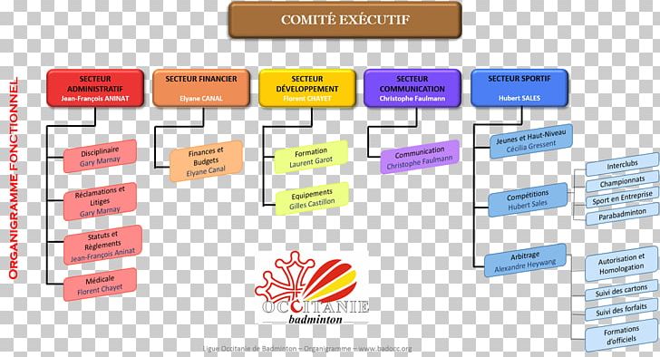 Organizational Chart Flowchart Languedoc-Roussillon-Midi-Pyrénées Badminton Table PNG, Clipart, Badminton, Brand, Cardboard, Country, Diplom Ishi Free PNG Download