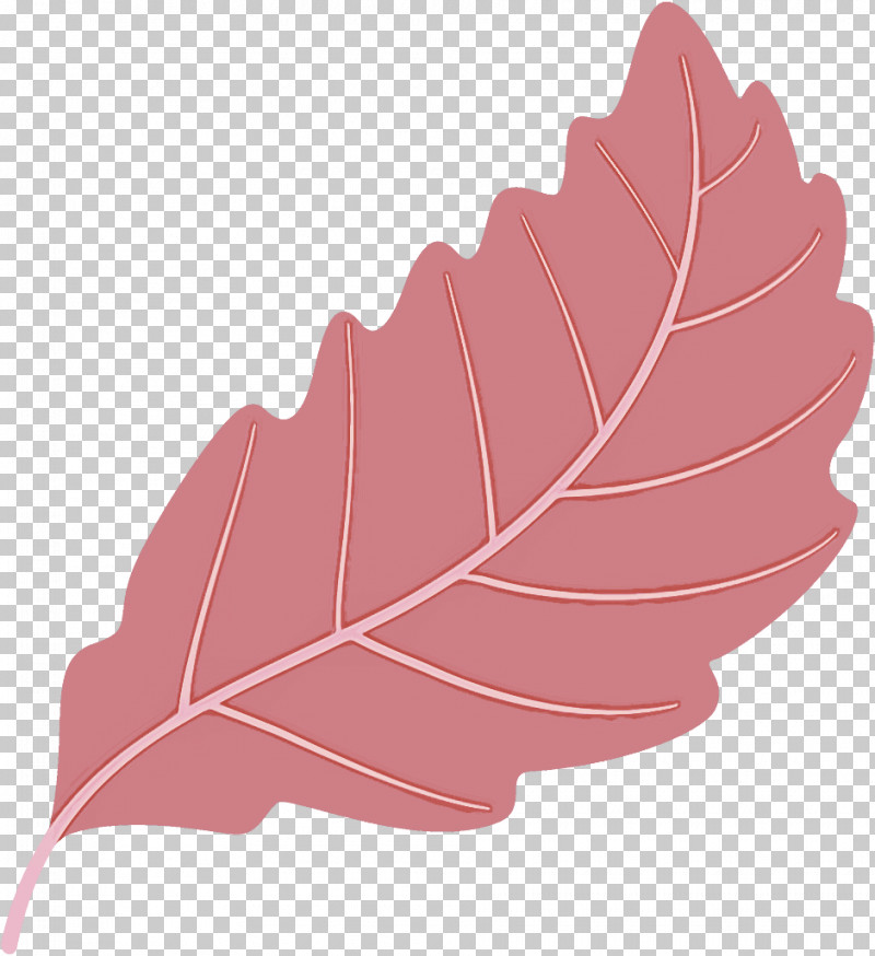 Autumn Leaf Fallen Leaf Dead Leaf PNG, Clipart, Autumn Leaf, Dead Leaf, Deciduous, Fallen Leaf, Flower Free PNG Download