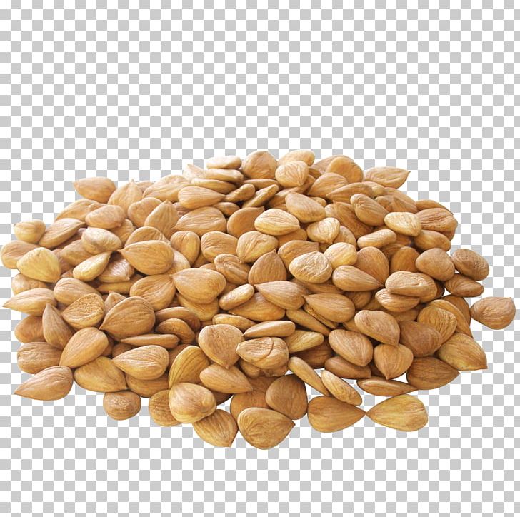 Apricot Kernel Nut Almond Seed PNG, Clipart, Almond Milk, Almond Nut, Almond Nuts, Almond Pudding, Almonds Free PNG Download
